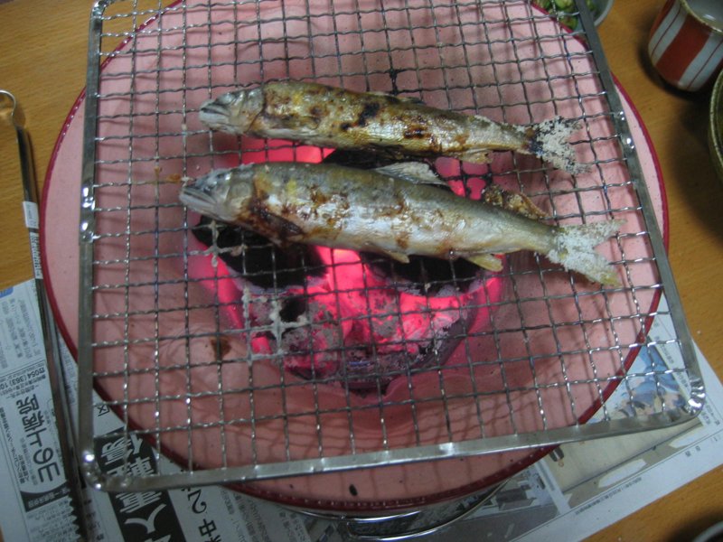 七輪 炭火での美味しい冷凍鮎の焼き方と鮎釣り好きの友人の話